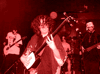 God of Shamisen live photo